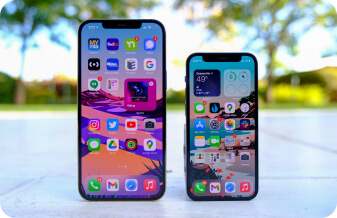 display pro