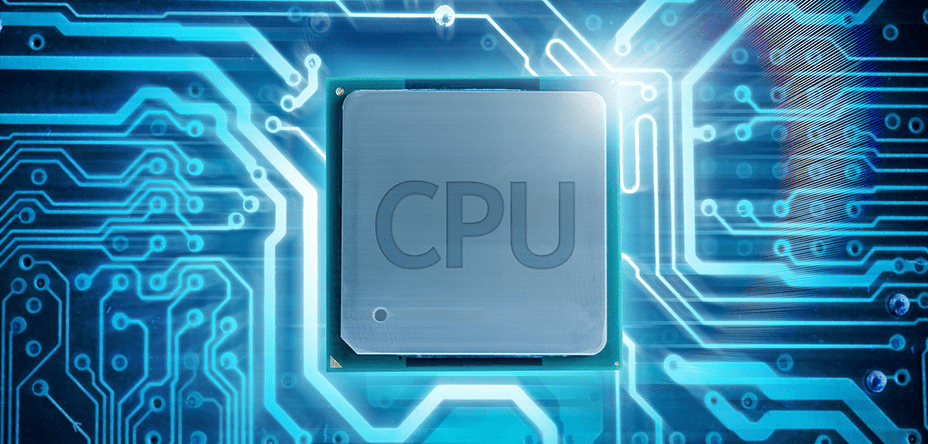 processor cat main