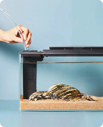 smart aquarium