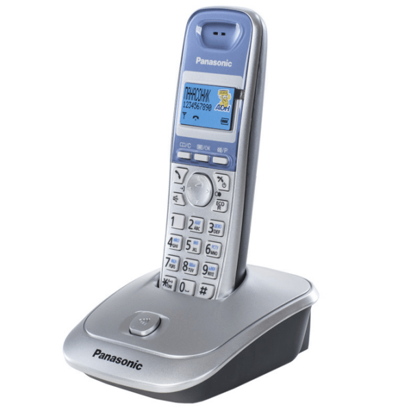 Dect Phone Panasonic KX-TG2511UAS Серебристый  photo 3