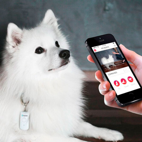 Смарт трекер Tractive Pet-Remote Белый  photo 3