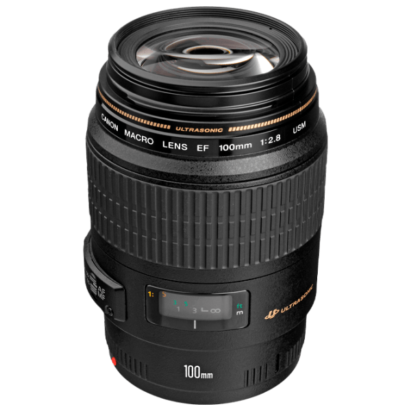 Объектив Canon EF 100mm f/ 2.8 USM Macro, Черный  photo 1