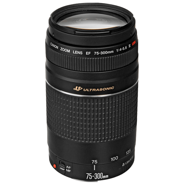 Объектив Canon EF 75-300mm f/ 4.0-5.6 III USM, Черный  photo 1