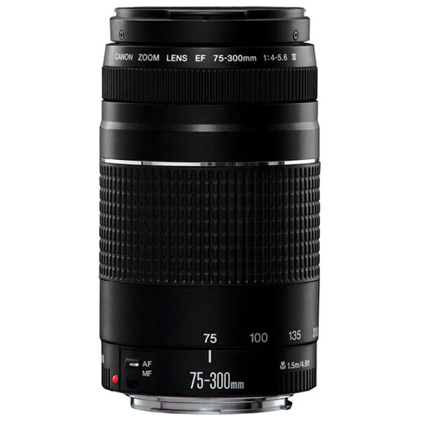 Объектив Canon EF 75-300mm f/ 4.0-5.6 III USM, Черный  photo 2