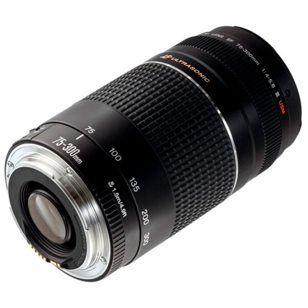 Объектив Canon EF 75-300mm f/ 4.0-5.6 III USM, Черный  photo 3