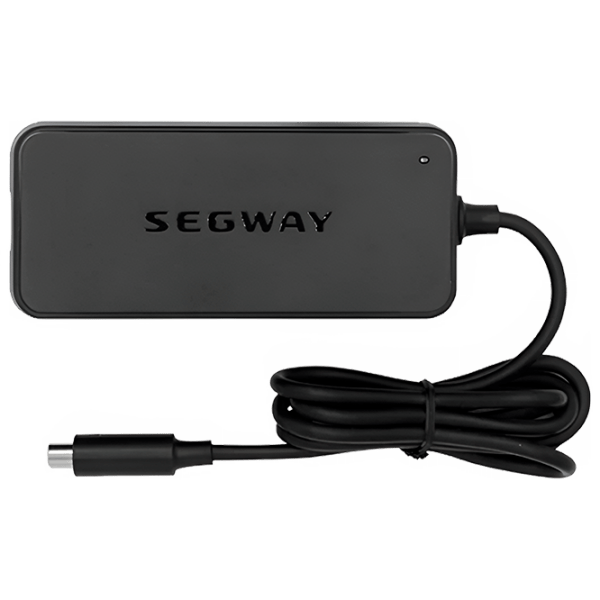 Зарядное устройство Segway 55858 Черный  photo 1