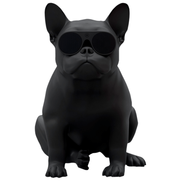 Boxă portabilă Jarre Aerobull XS1 Black 60 W photo 1