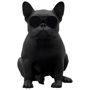 Boxă portabilă Jarre Aerobull XS1 Black 60 W