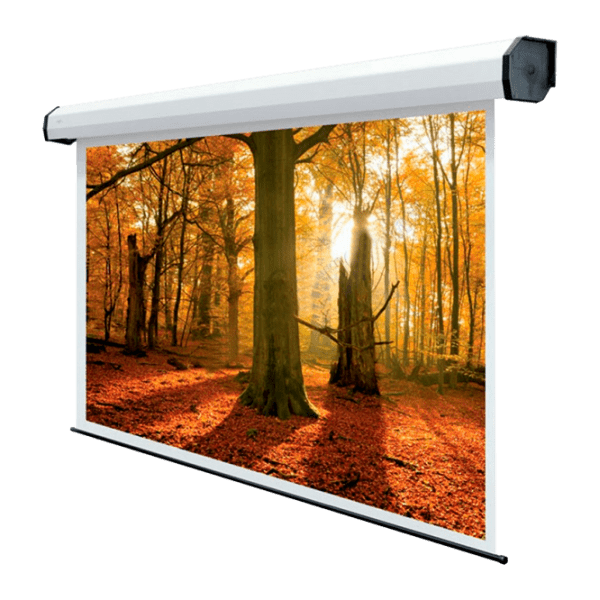 Ecran pentru proiector Sopar 5401HT (4:3) White Pe perete, Lățime ecran: 400 cm, &Icirc;nălțime ecran: 300 cm photo 1