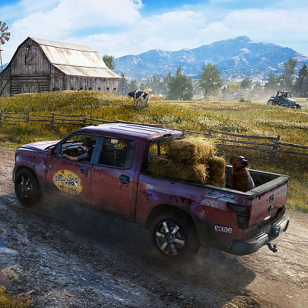  Far Cry 5 PlayStation 4 Action / 18+ photo 5