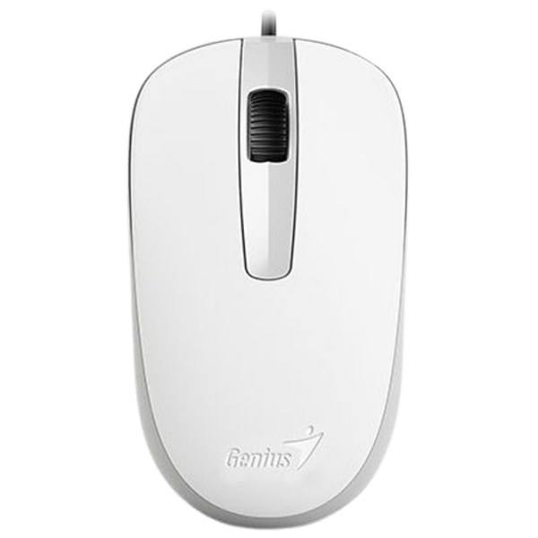 Mouse Genius DX-120 White Cu fir, 1000 dpi photo 1