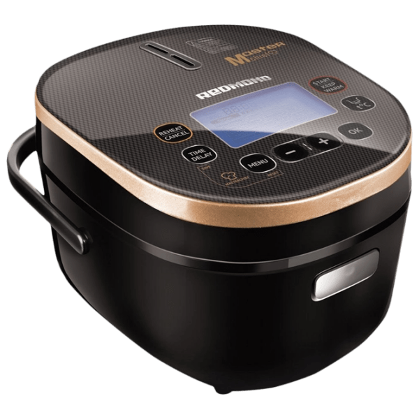 Multifierbător Redmond RMC-M250E Black 860 W, 4 l photo 1