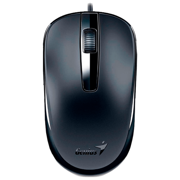 Mouse Genius DX-120 Black Cu fir, 1000 dpi photo 1