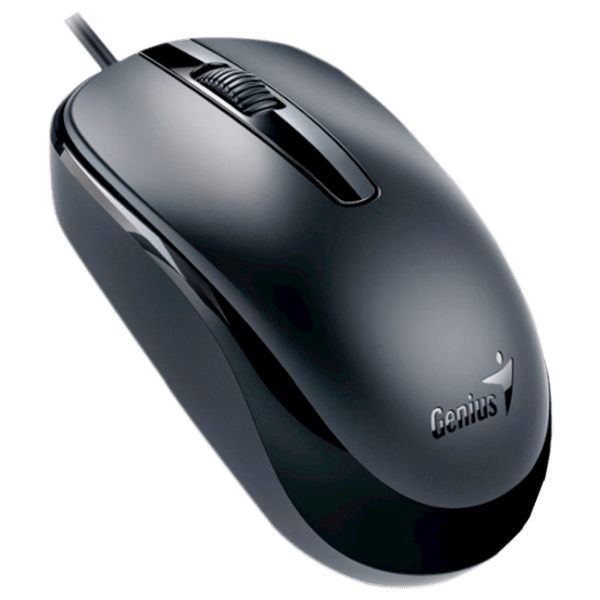 Mouse Genius DX-120 Black Cu fir, 1000 dpi photo 2