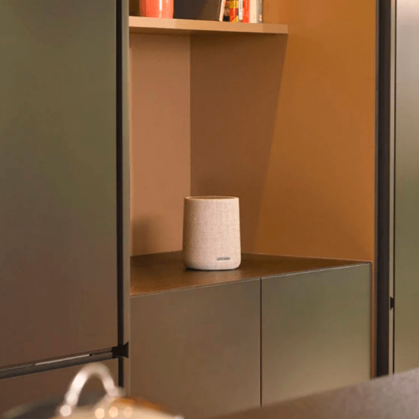 Smart Boxa Harman Kardon Citation ONE, Gray  photo 5