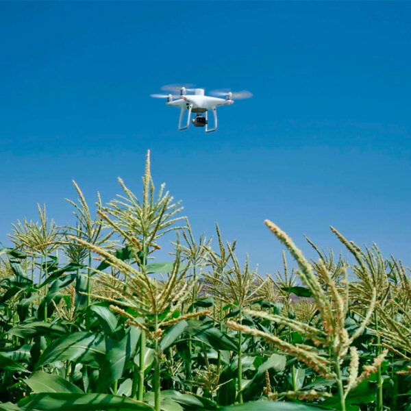 Дрон DJI Phantom 4 Multispectral Белый Квадрокоптер / 58 км/ч photo 5