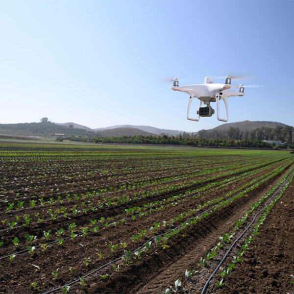 Дрон DJI Phantom 4 Multispectral Белый Квадрокоптер / 58 км/ч photo 7