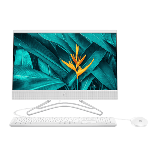 Моноблок HP AIO 200 G4 Белый 21.5" Full HD IPS Intel Core i5 10210U 8 ГБ 256 ГБ photo 1
