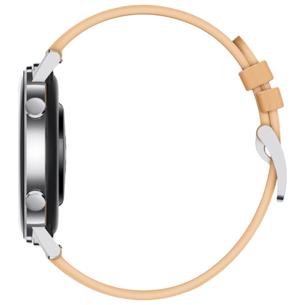 Умные часы Huawei Watch GT2 Серебристый 1.39" | 42 мм | Нержавеющая сталь/ Кожа
| Fortuna B19V photo 5