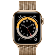 Ceas inteligent Apple Watch Series 6 Gold 1.57" | 40mm | Oțel inoxidabil | M06W3