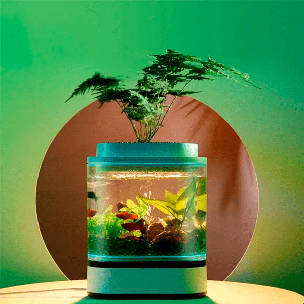 Аквариум Xiaomi Geometry Mini Fish Белый 1.5 л photo 4