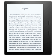 Электронная книга Amazon Kindle Oasis (10 Generation) 8 ГБ Графитовый 