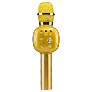 Microfon BT Helmet KTV K-310, Gold 
