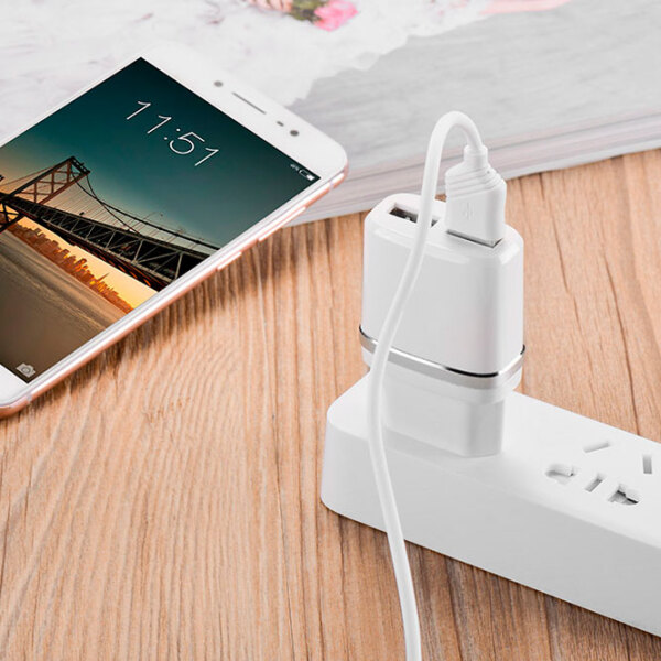 Încărcător de rețea EVO 2USB 2.4A (Type-C) (20 W) White 2.4 A / White photo 5
