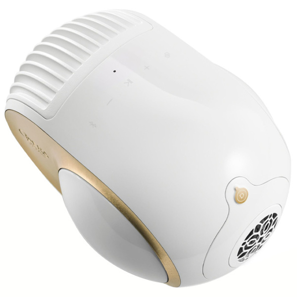 Boxă portabilă Devialet Phantom I OPERA DE PARIS 108 DB Gold 1100 W photo 6