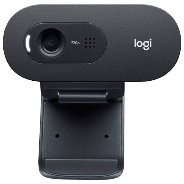 Веб-камера Logitech C505e Черный  photo 1