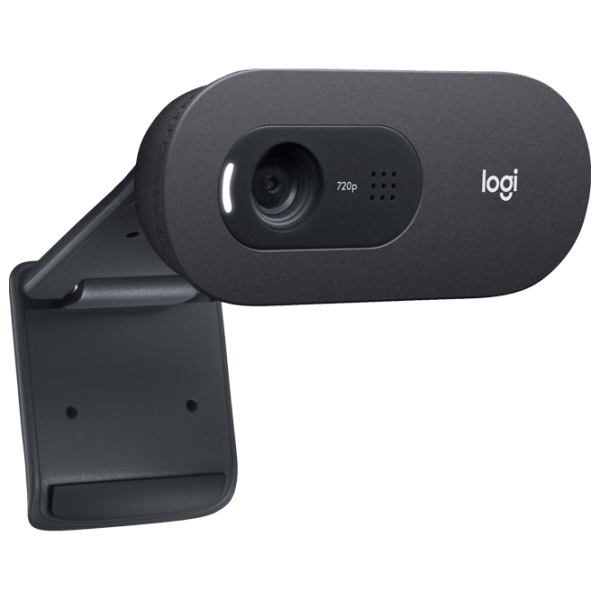 Веб-камера Logitech C505e Черный  photo 2