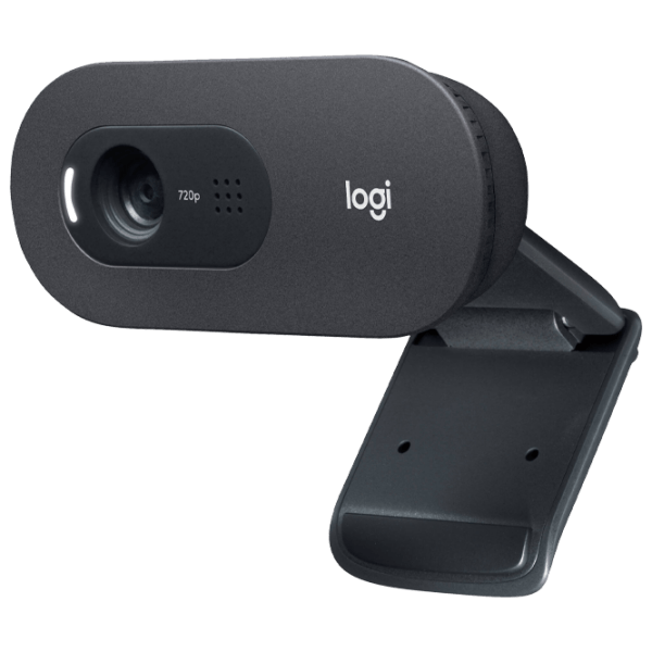 Веб-камера Logitech C505e Черный  photo 3