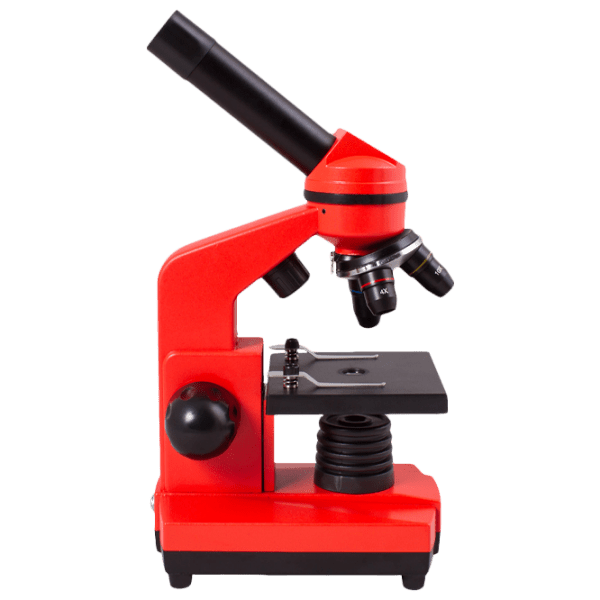 Microscop Levenhuk Rainbow 2L Orange  photo 4
