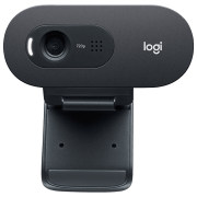 Веб-камера Logitech C505 Черный 