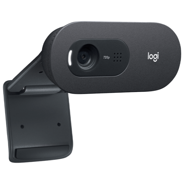 Веб-камера Logitech C505 Черный  photo 2