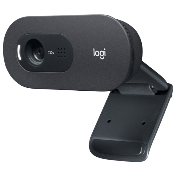 Веб-камера Logitech C505 Черный  photo 3