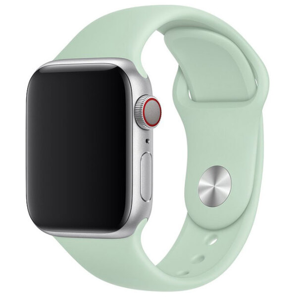 Curelușă Apple Watch 40 mm MWUM2ZM/A Beryl Steel photo 2