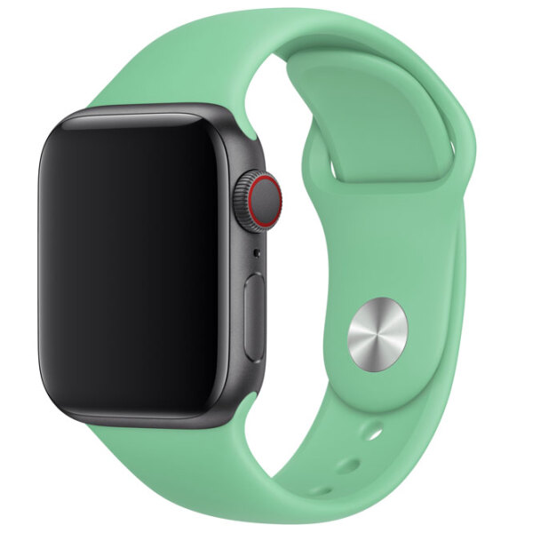 Curelușă Apple Watch 40 mm S/M & M/L Spearmit Steel photo 2