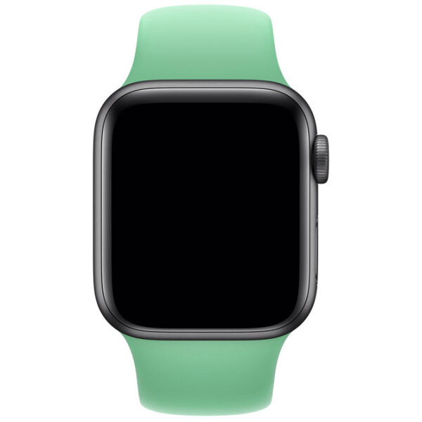 Curelușă Apple Watch 40 mm S/M & M/L Spearmit Steel photo 3