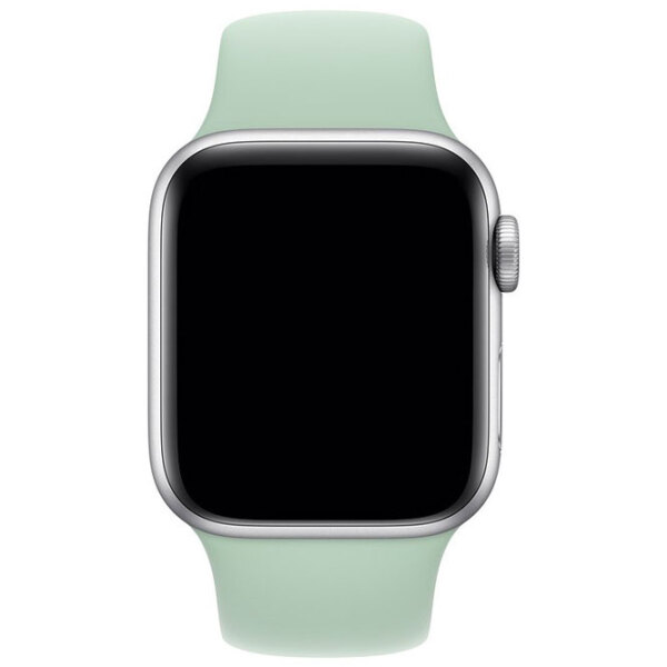 Curelușă Apple Watch MWUQ2ZM/ A Beryl Steel, photo 3