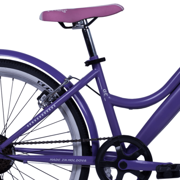 Bicicletă Andrei Tchmil Ivy 24" 24" Violet White Oțel / Pentru adulți photo 3