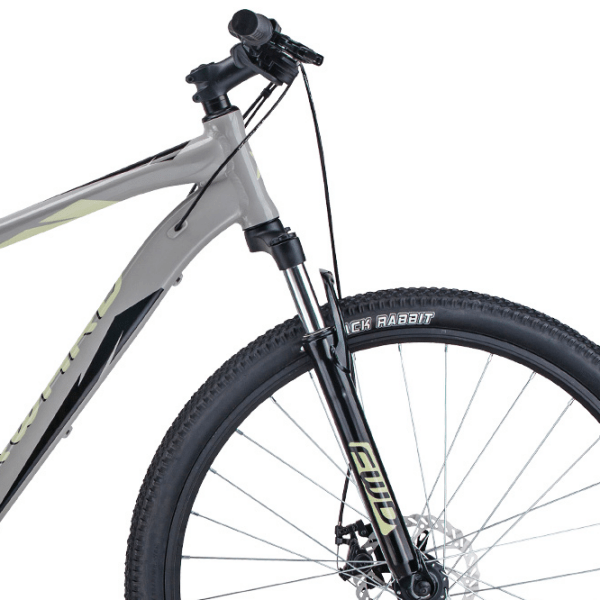 Bicicletă Forward Apache 29" 19" Gray White Aluminiu / Pentru adulți photo 2
