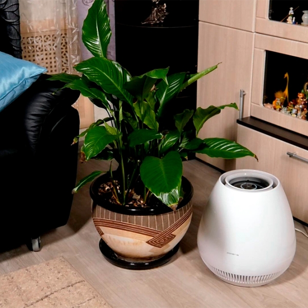 Purificator de aer Polaris PAW4204Di White  photo 6