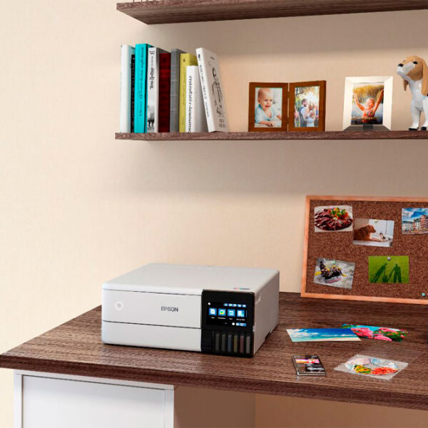 МФУ Epson L8160 Белый Струйный, Цветная,  photo 5