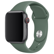 Curelușă Apple Watch 42 / 44 mm S / M & M / L Green Silicon