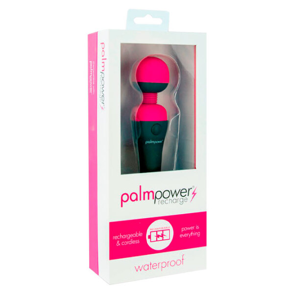 Вибратор You2Toys Palm Power Черный  photo 4