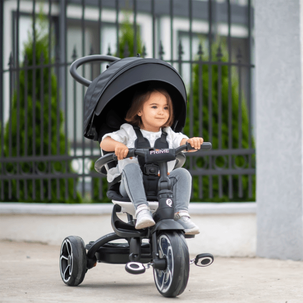 Triciclu Qplay Prime Gray Metal/ Pentru copii photo 4