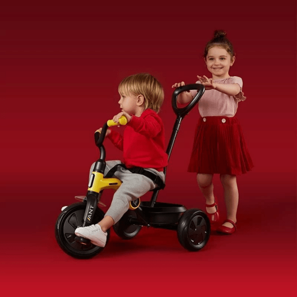 Triciclu Qplay Ant Plus Gray Oțel/ Pentru copii photo 7