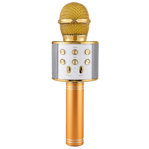 Microfon Helmet KTV WS-858 Gold  photo 1