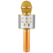 Microfon Helmet KTV WS-858 Gold 